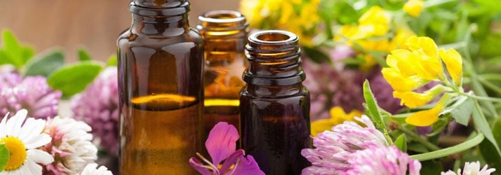 Chiropractic Athens PA CBD Oil Chiropractic Athens PA CBD Oil